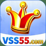 vss55mdtax