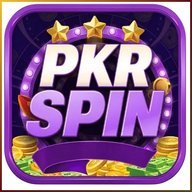 pkrspin384
