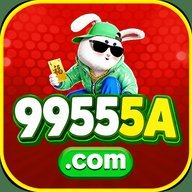 he9955a