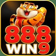 zp888win9