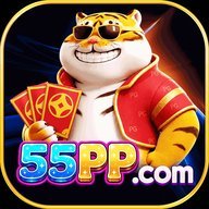 dt55pp