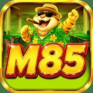 m85pmhqdzx