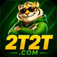vn2t2t