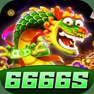 fy6666s