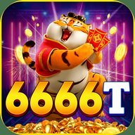 um6666t