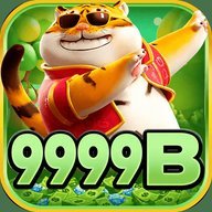 gz9999b