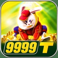 bz9999t