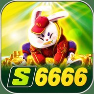 s6666pltzp