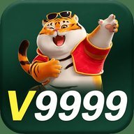 v9999svpno