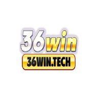 36wintech