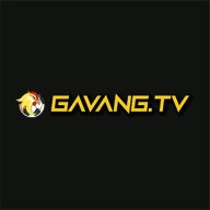 gavangtvllc2