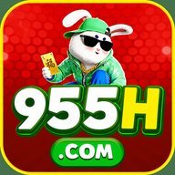 qw955h