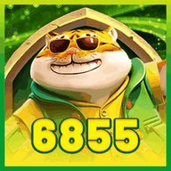 yy6855