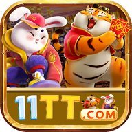 bz11tt