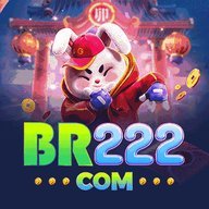 br222czigt