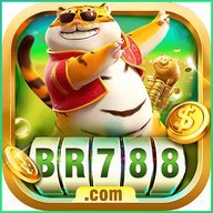 br788xmszx