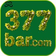 el377bra