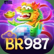br987ndwnp