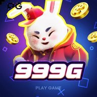 zz999g