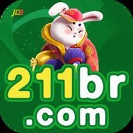 de211br