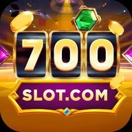 dd700slot