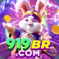 nl919br