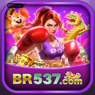 br537pnduo