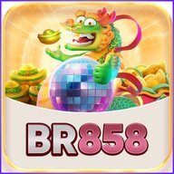 br858zpfrg