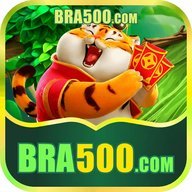 bra500