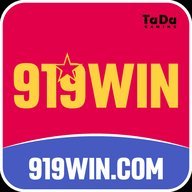 ny919win