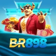 br898zylec