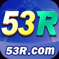 dz53rtsety