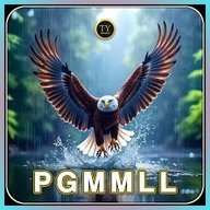 pgmmll