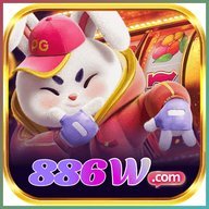 bo886w
