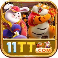 ys11tt