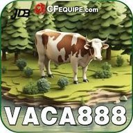 vaca888