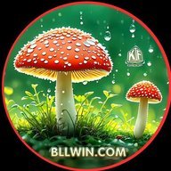 bllwin