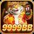 ew9999bb